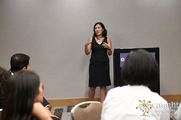 073 AUGS 2018 in Chicago - Fellows Day Breakouts