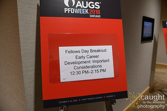 070 AUGS 2018 in Chicago - Fellows Day Breakouts