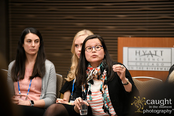 034 AUGS 2018 in Chicago - Fellows Day Breakouts