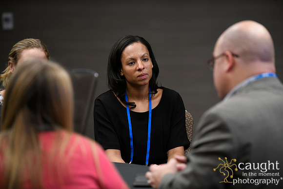 043 AUGS 2018 in Chicago - Fellows Day Breakouts