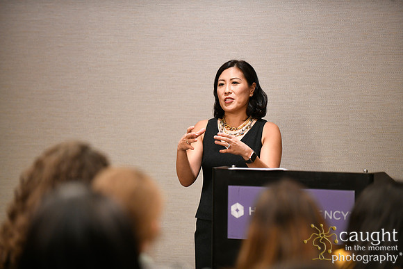 076 AUGS 2018 in Chicago - Fellows Day Breakouts