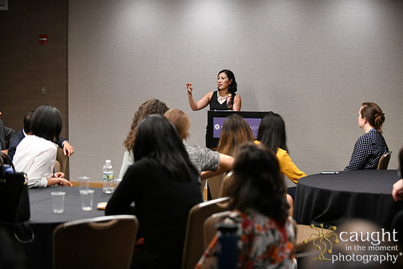 078 AUGS 2018 in Chicago - Fellows Day Breakouts