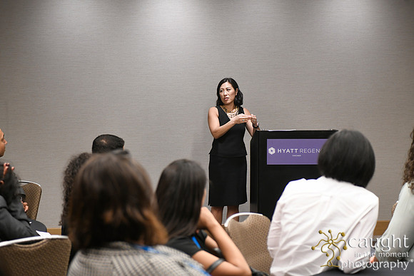 074 AUGS 2018 in Chicago - Fellows Day Breakouts
