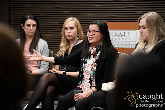 037 AUGS 2018 in Chicago - Fellows Day Breakouts