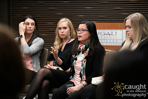 036 AUGS 2018 in Chicago - Fellows Day Breakouts