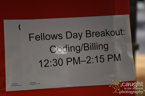 082 AUGS 2018 in Chicago - Fellows Day Breakouts