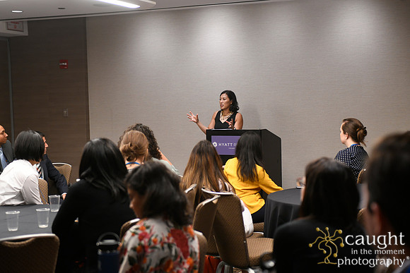 072 AUGS 2018 in Chicago - Fellows Day Breakouts