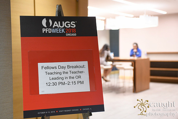 027 AUGS 2018 in Chicago - Fellows Day Breakouts