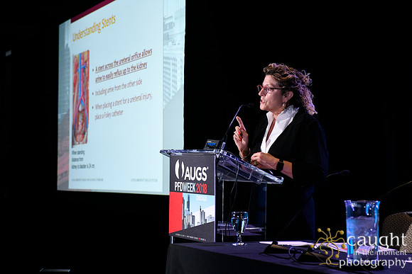 400 AUGS 2018 in Chicago - Raymond A Lee Lecture
