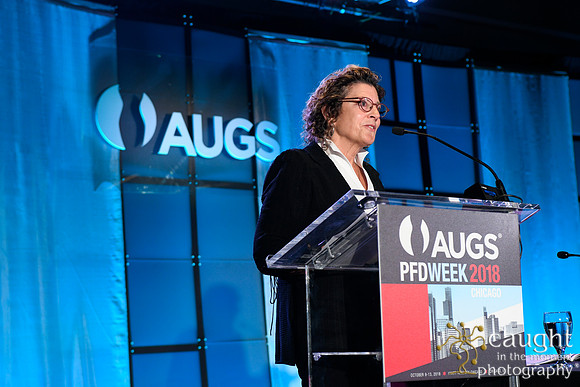 393 AUGS 2018 in Chicago - Raymond A Lee Lecture
