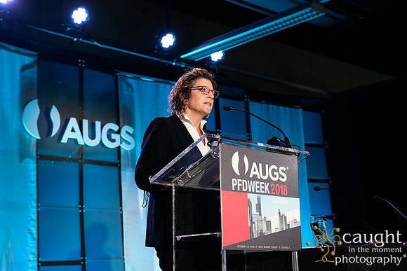 394 AUGS 2018 in Chicago - Raymond A Lee Lecture