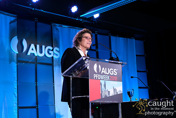404 AUGS 2018 in Chicago - Raymond A Lee Lecture