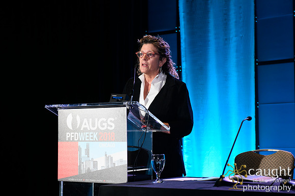 395 AUGS 2018 in Chicago - Raymond A Lee Lecture