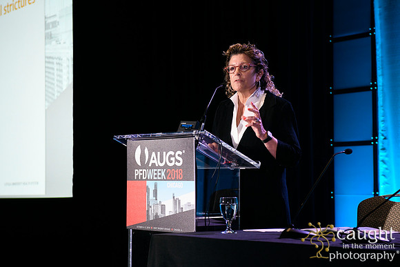 396 AUGS 2018 in Chicago - Raymond A Lee Lecture
