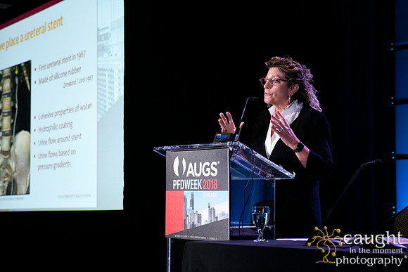 399 AUGS 2018 in Chicago - Raymond A Lee Lecture