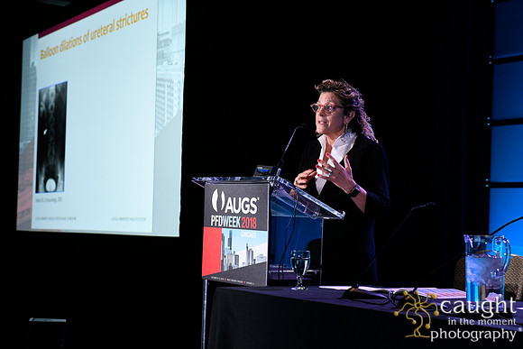398 AUGS 2018 in Chicago - Raymond A Lee Lecture