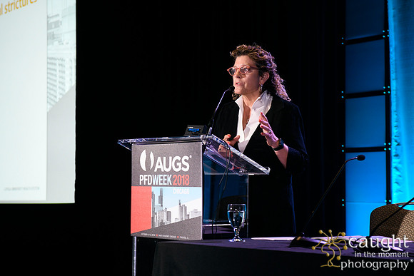 397 AUGS 2018 in Chicago - Raymond A Lee Lecture