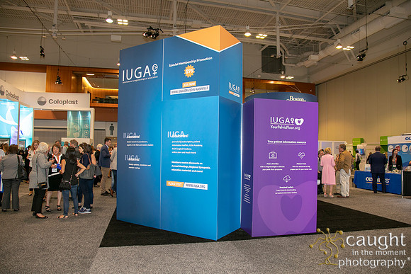 299 AUGS-IUGA 2019 Nashville