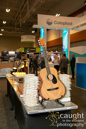 273 AUGS-IUGA 2019 Nashville