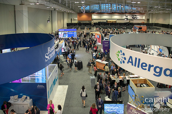 295 AUGS-IUGA 2019 Nashville