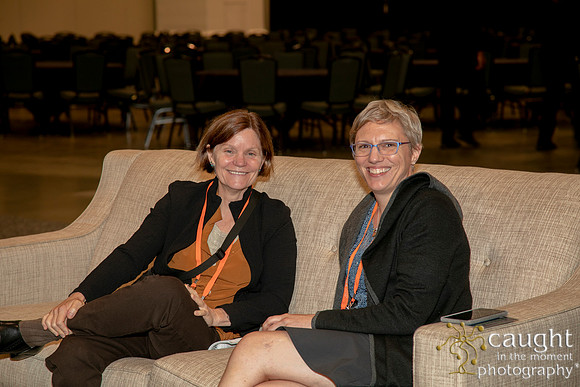 290 AUGS-IUGA 2019 Nashville
