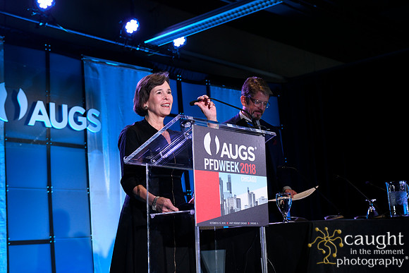 406 AUGS 2018 in Chicago - FPMRS Journal Update