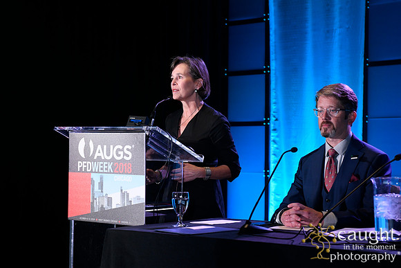 408 AUGS 2018 in Chicago - FPMRS Journal Update
