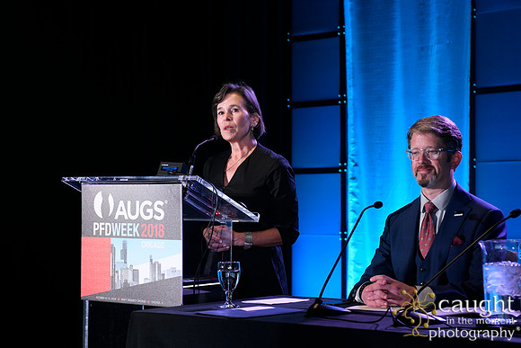 409 AUGS 2018 in Chicago - FPMRS Journal Update