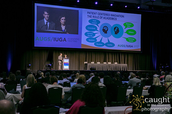 167 AUGS-IUGA 2019 Nashville
