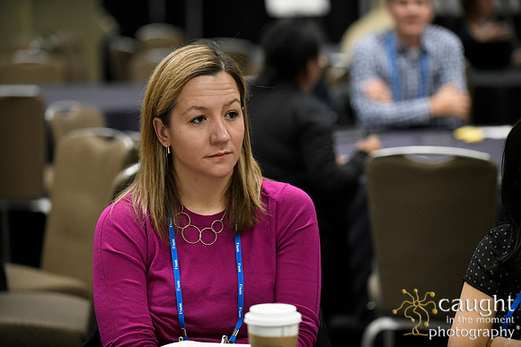 556 AUGS 2018 in Chicago - Meet the Experts