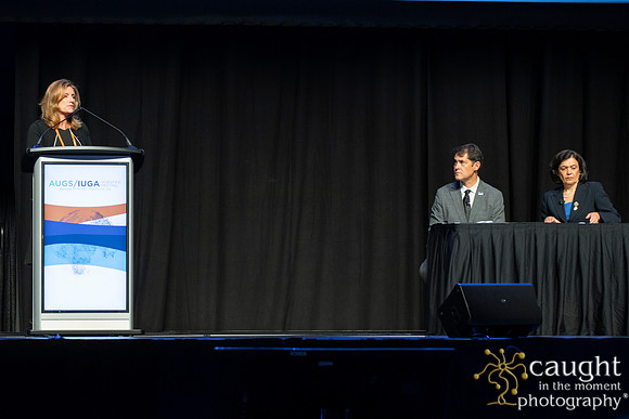 186 AUGS-IUGA 2019 Nashville