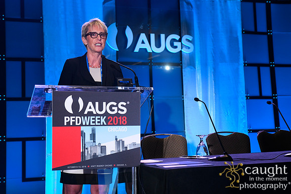 565 AUGS 2018 in Chicago - Foundation Update
