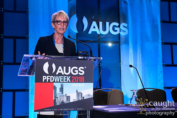 566 AUGS 2018 in Chicago - Foundation Update