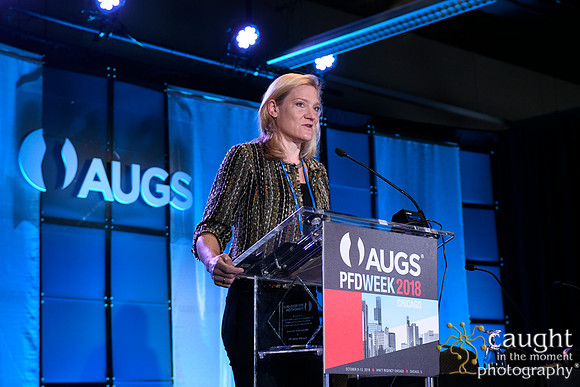 562 AUGS 2018 in Chicago - Foundation Update