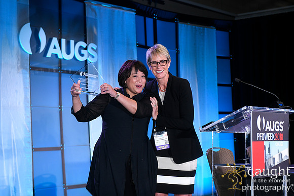 570 AUGS 2018 in Chicago - Foundation Update