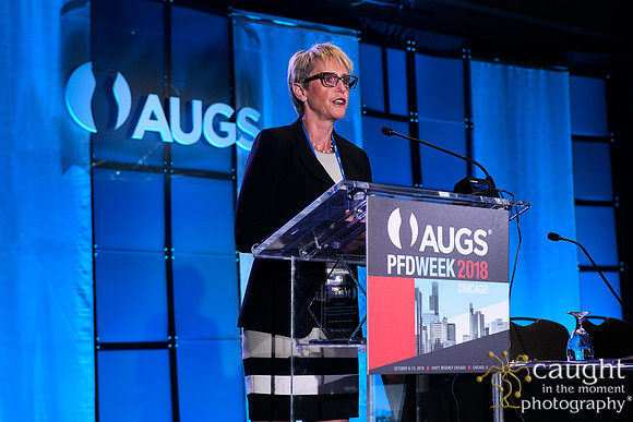 563 AUGS 2018 in Chicago - Foundation Update