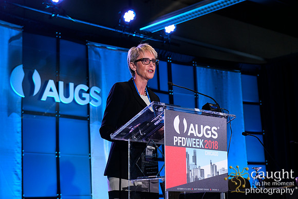 567 AUGS 2018 in Chicago - Foundation Update