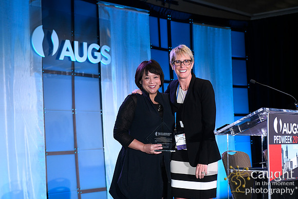 573 AUGS 2018 in Chicago - Foundation Update