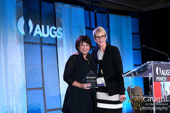 572 AUGS 2018 in Chicago - Foundation Update