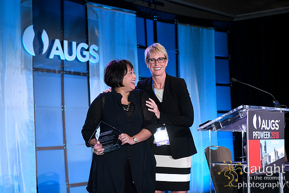 571 AUGS 2018 in Chicago - Foundation Update