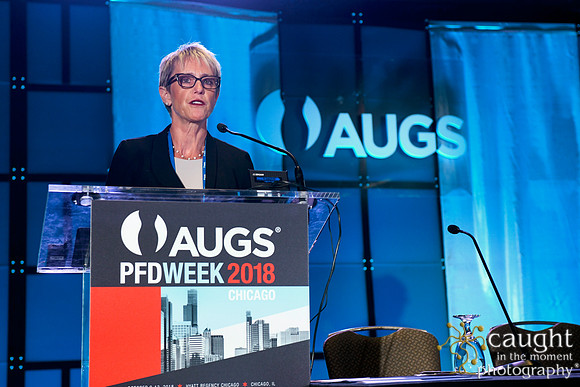 564 AUGS 2018 in Chicago - Foundation Update