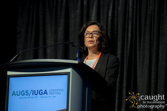 480 AUGS-IUGA 2019 Nashville