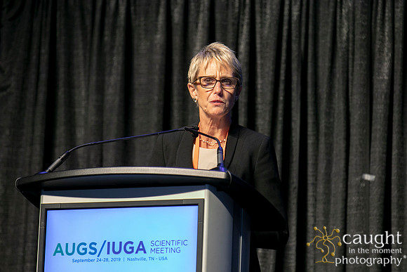 621 AUGS-IUGA 2019 Nashville