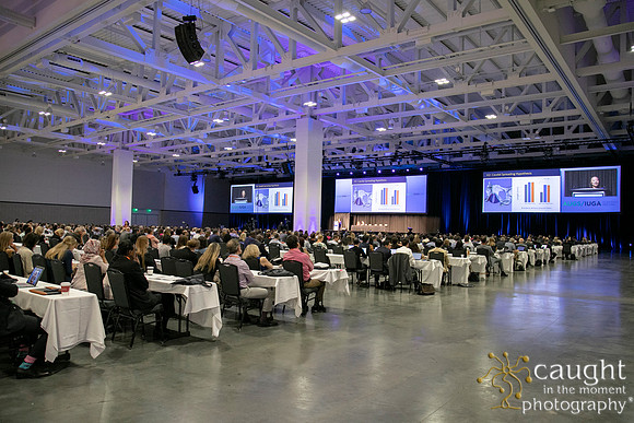 471 AUGS-IUGA 2019 Nashville