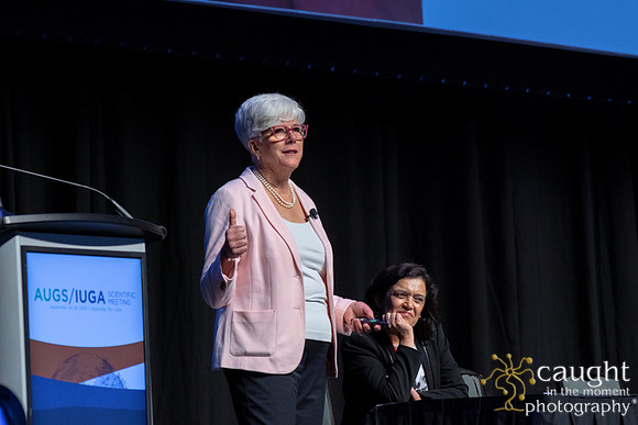 493 AUGS-IUGA 2019 Nashville
