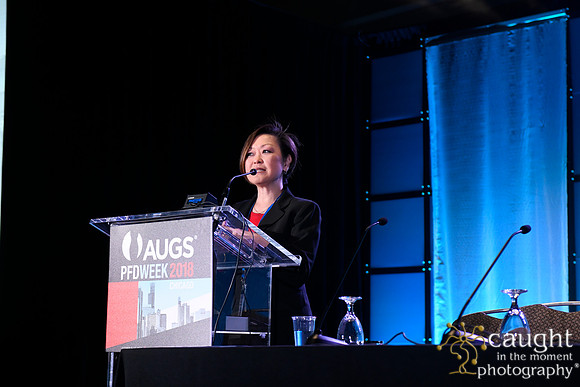 611 AUGS 2018 in Chicago - SUFU Update
