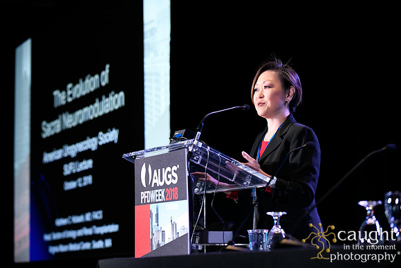 616 AUGS 2018 in Chicago - SUFU Update