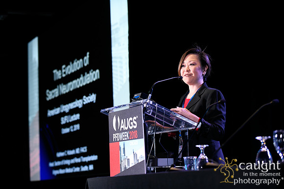 619 AUGS 2018 in Chicago - SUFU Update