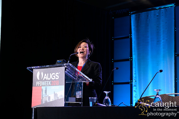 610 AUGS 2018 in Chicago - SUFU Update