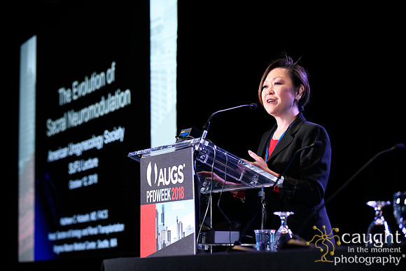 617 AUGS 2018 in Chicago - SUFU Update